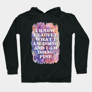 I Know Exactly What I Am Doing And I Am Doing Fine Hoodie